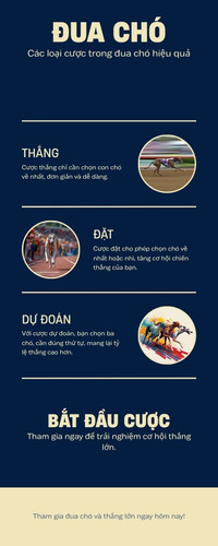 Infographic so sánh các loại kèo cá cược đua chó Win Place Forecast Tricast tại A088